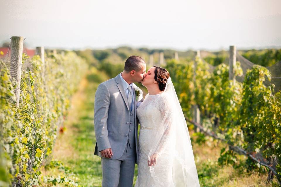 Vineyard stroll