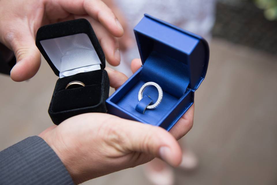 Closeup of wedding bands