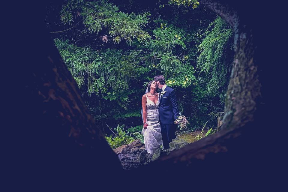 Trees