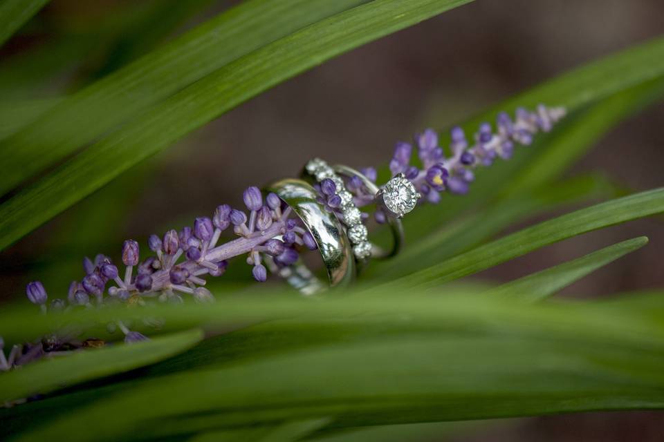 Cindy Cerda Photography