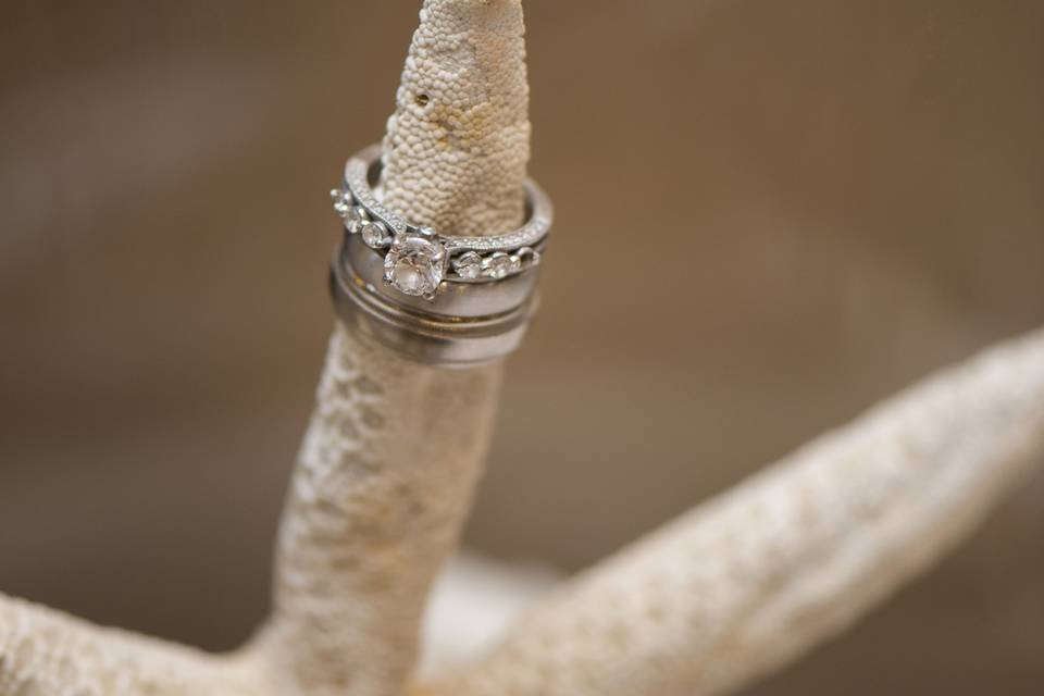 Cindy Cerda Photography