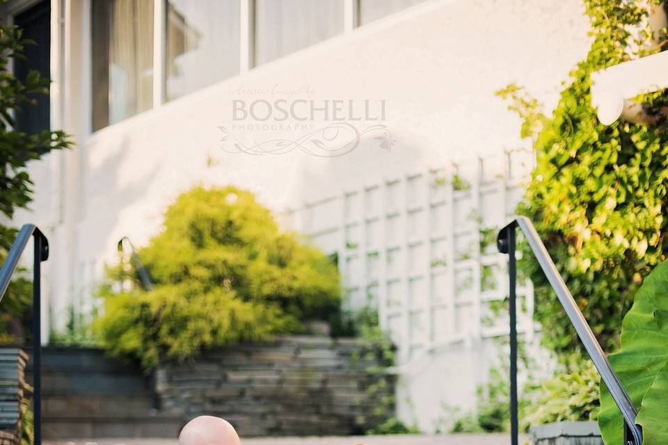 Boschelli Photography