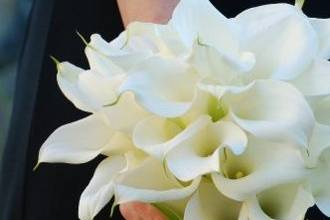 Bridesmaids' bouquet, white mini calls