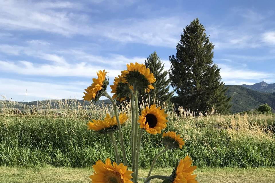 Sunflower centerpiece