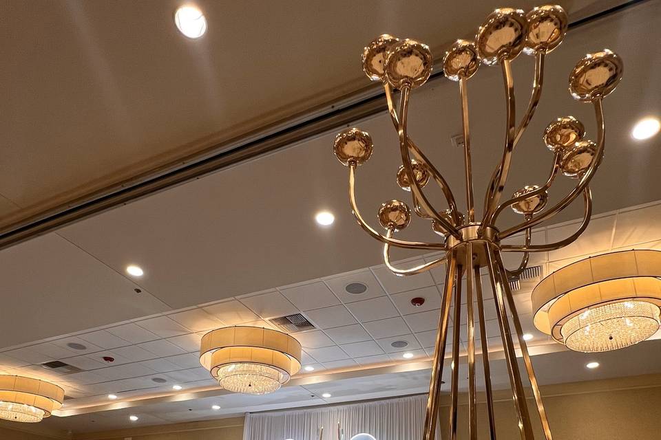 Wedding Reception