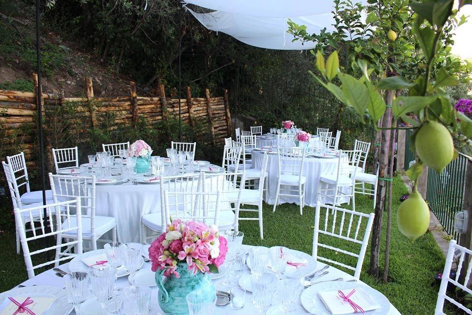 Wedding - lemon garden