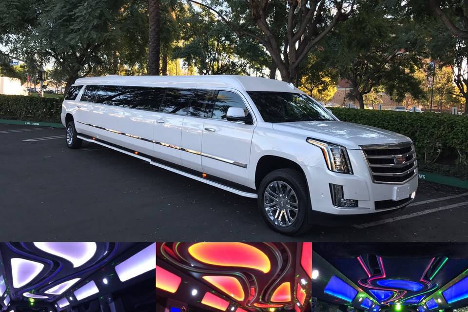 Absolute Comfort Limousine