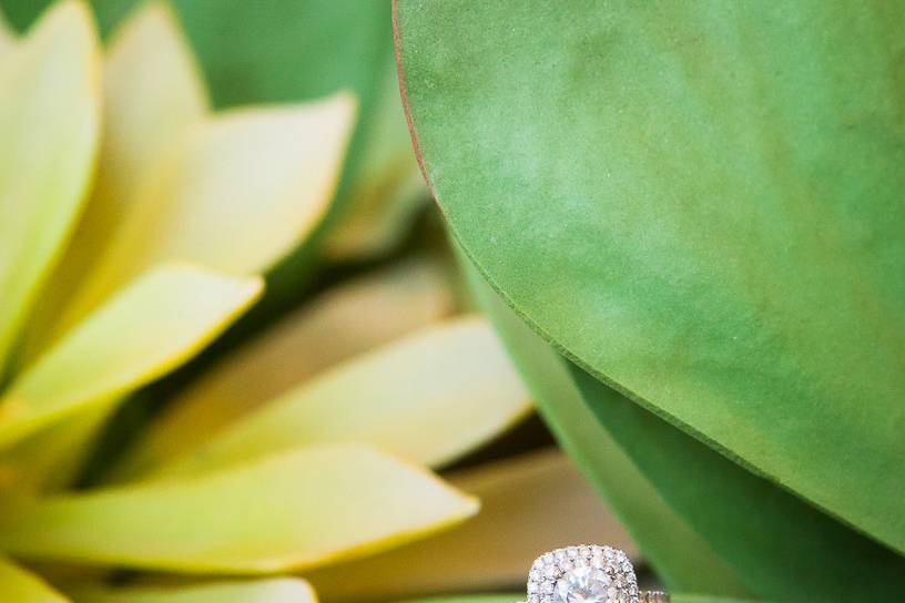 M2R Photography