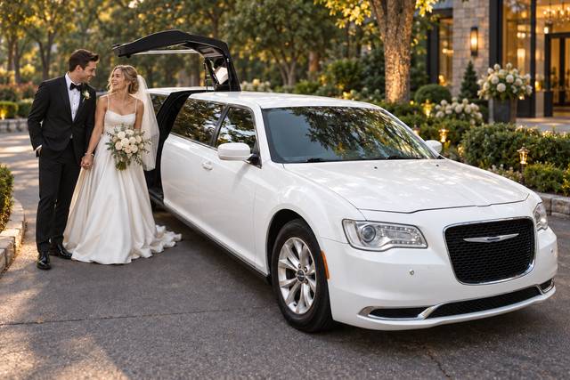 Chrysler 300 jet door