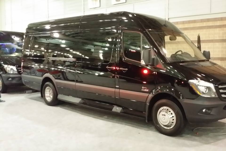 RPD Executive Coach