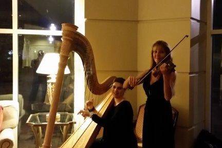 Harpist and violinist