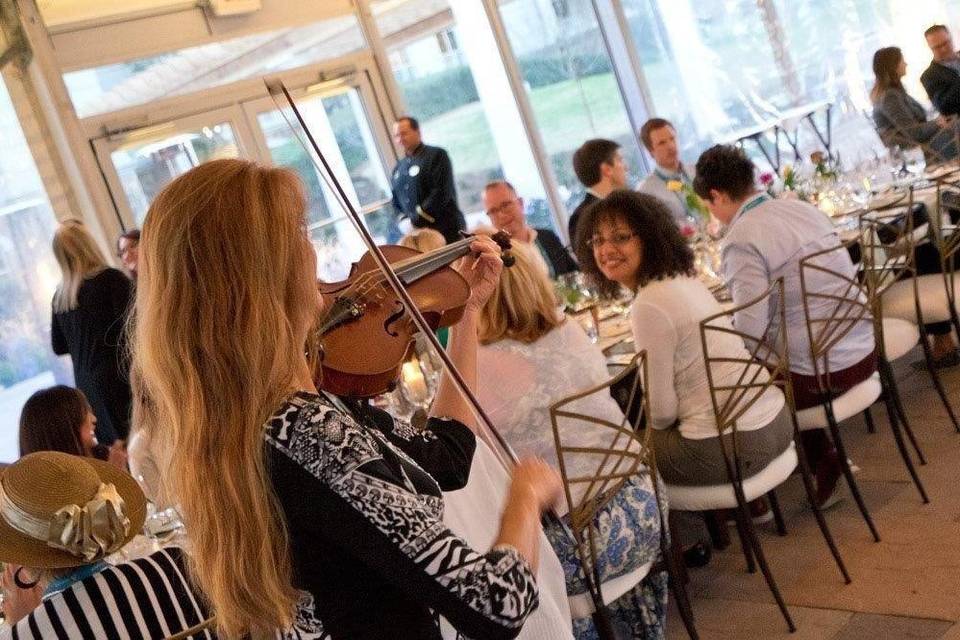 Violinist performing during the reception