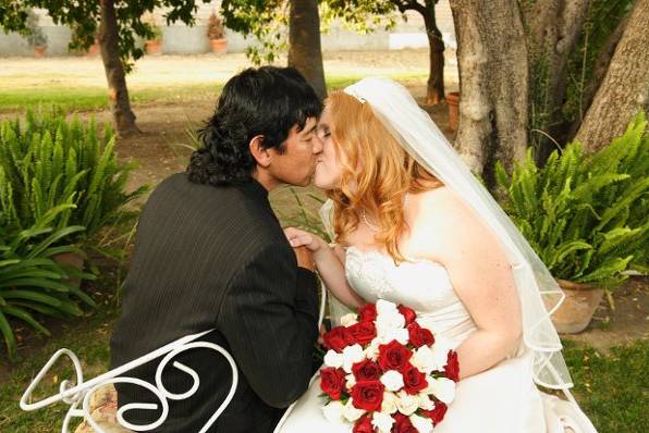 Amazing Images Photography