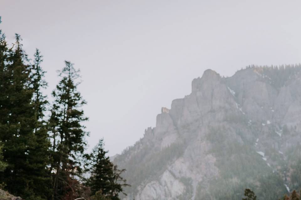 Https://jenneanne.com