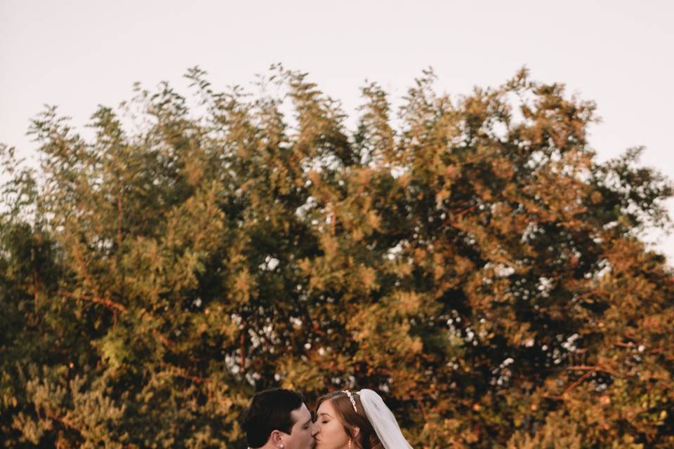 Wedgewood Indian Hills