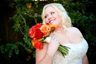 Divine Curves Bridal