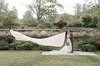 Vince Ha Photography