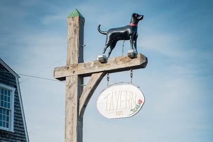 Outside the Black Dog Tavern in Vineyard Haven