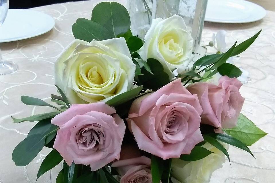 Mauve and ivory roses