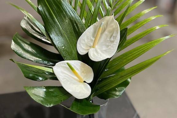 Anthurium bridesmaid bouquet