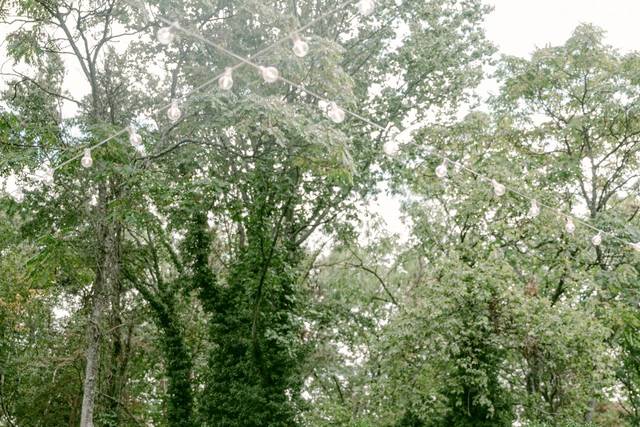Amanda Adams Photography