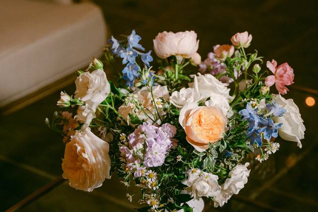 Amanda Adams Photography