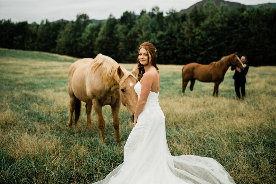Bridal horses