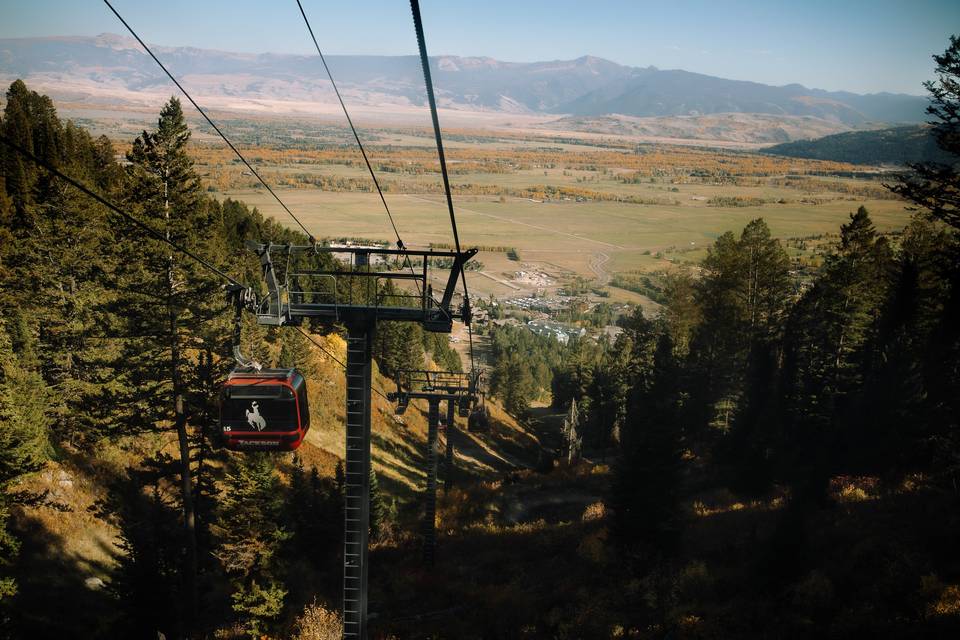 Gondola