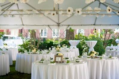 Capitol Romance Wedding Coordination