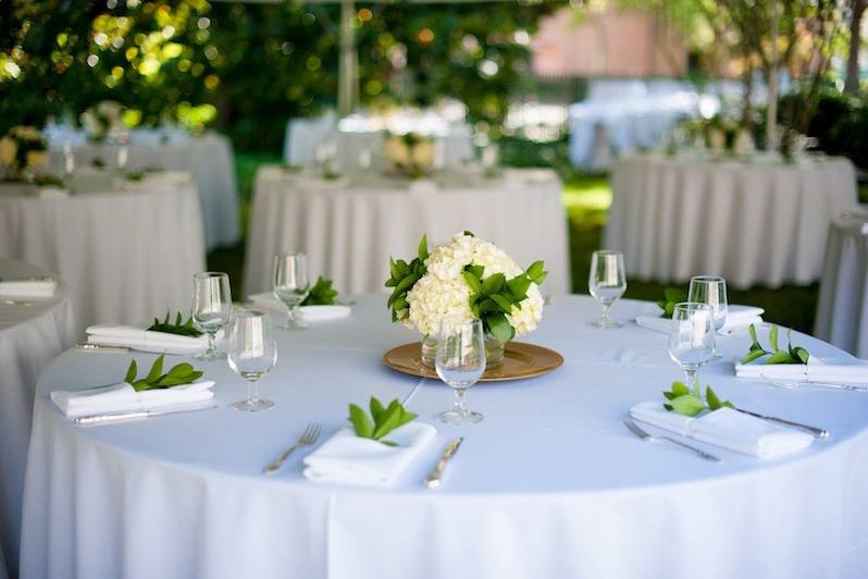 Capitol Romance Wedding Coordination