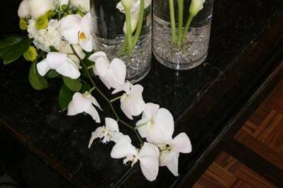 Lynne Lucente floral designs