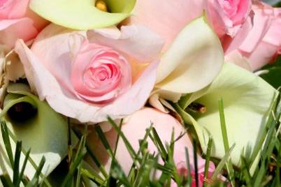 Love Always Photography