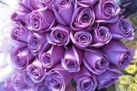 LavenderSpice Events