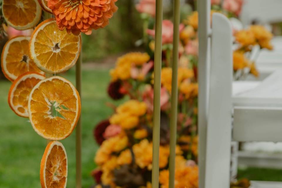 Dried oranges and fun textures