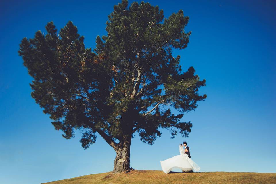 Phoenix Wang Photography