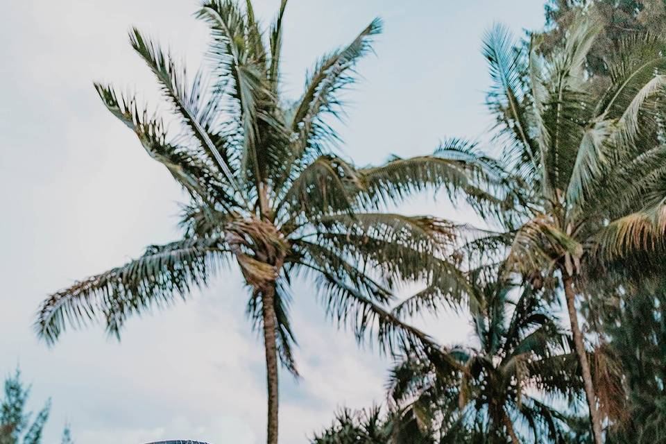 Big island Hawaii Wedding