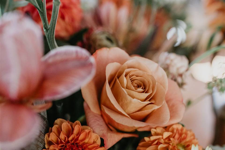 Oakland hills wedding