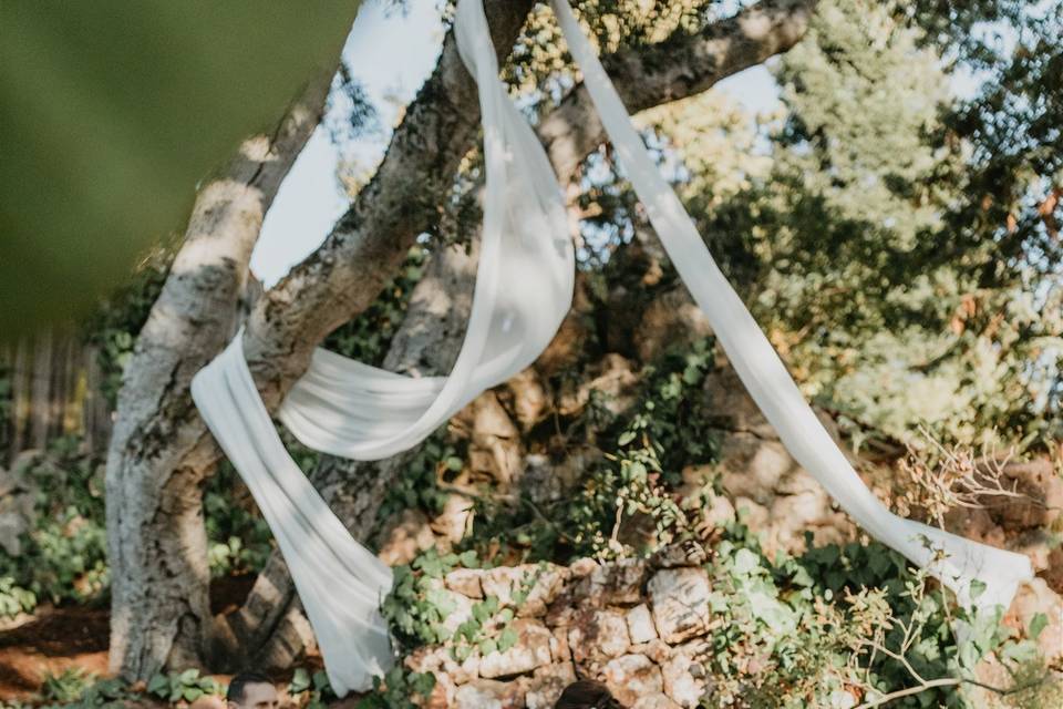 Oakland hills wedding