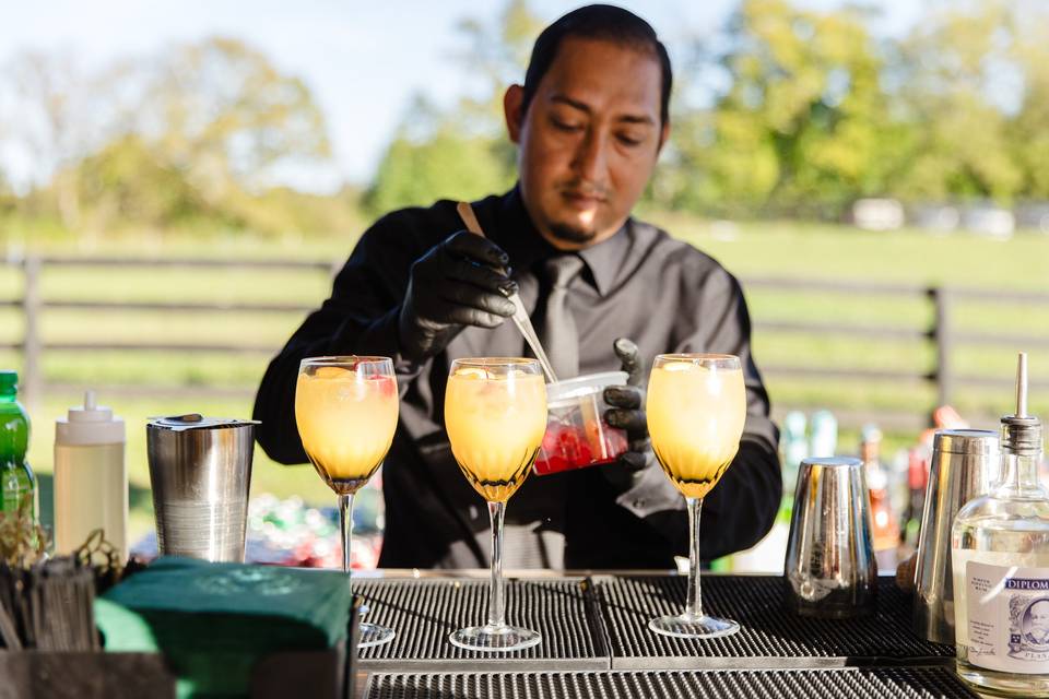 Signature Drinks