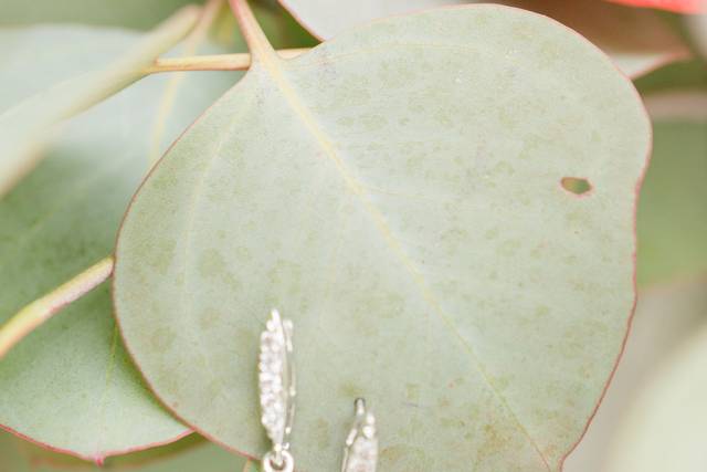 Hayden Esau Photography