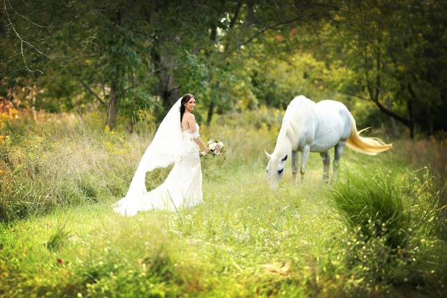 Bride with horse