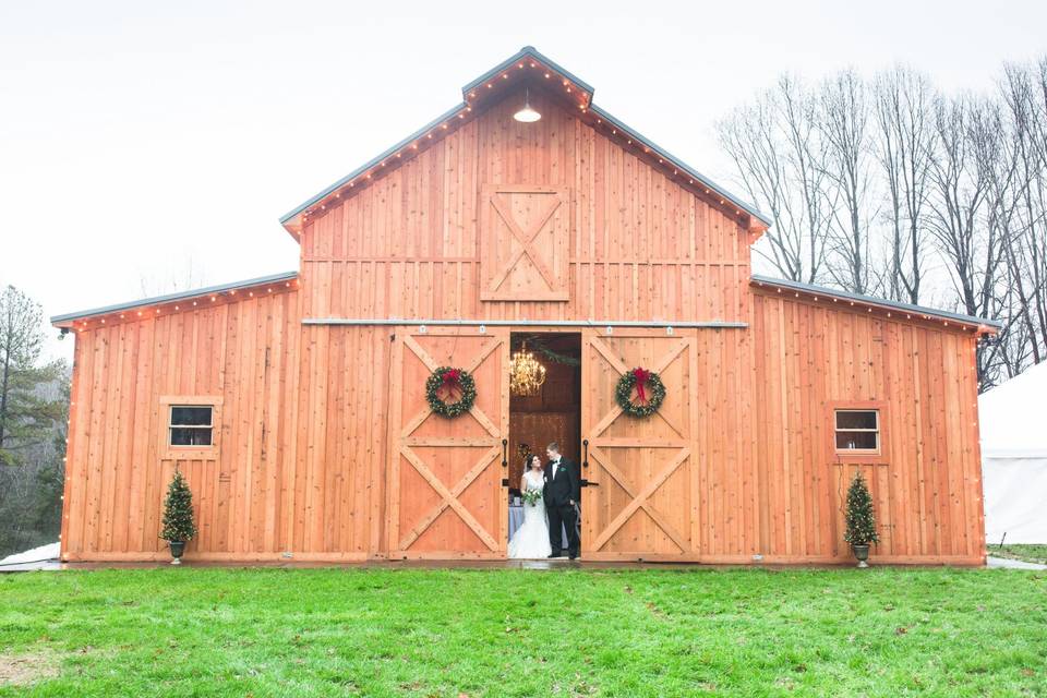 The Barn at Gully Tavern - bride and groom with the wedding party