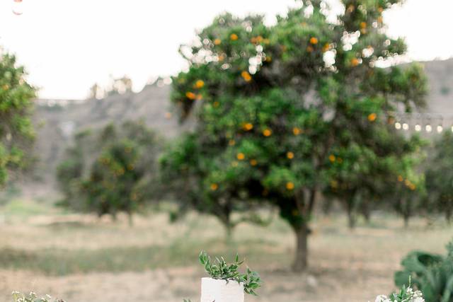 Tustin Florist, Inc