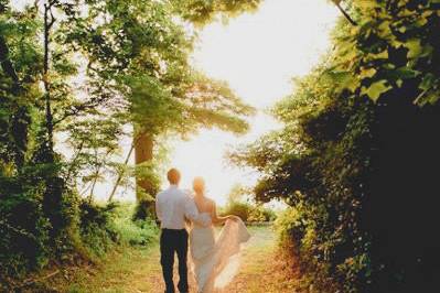 L. Hewitt Photography