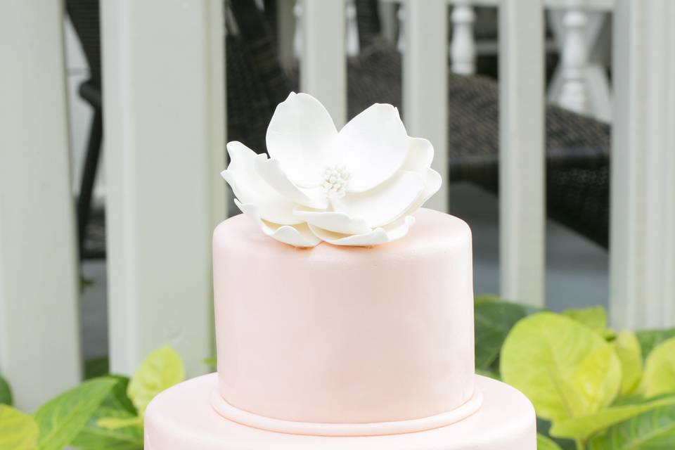 2 tier blush fondant cake with prose and sugar magnolia