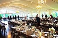 Lovely Day Event Services