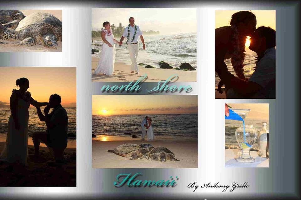 Artistic Mindz Photography