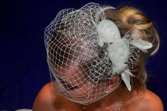 Birdcage veil