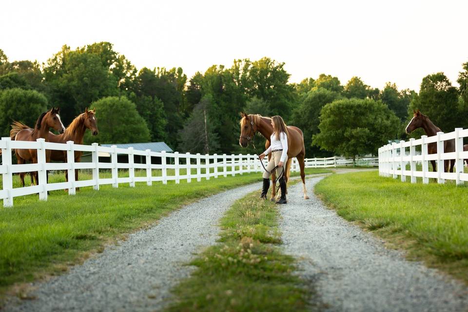 Laurel Run Farms