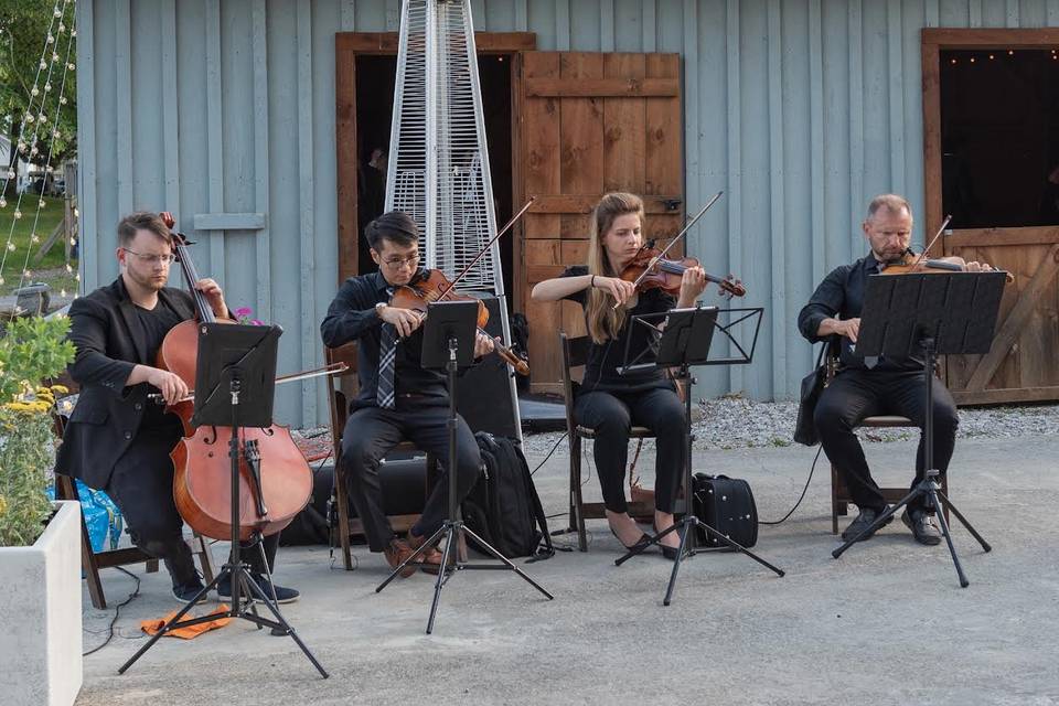 String Quartet